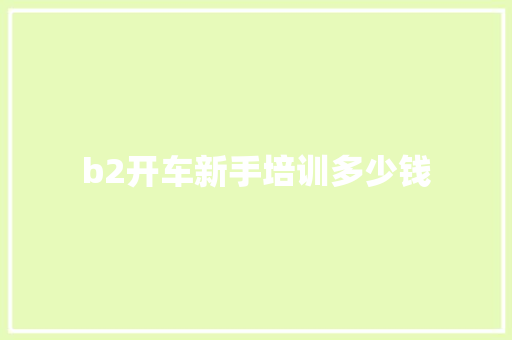b2开车新手培训多少钱