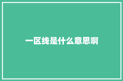 一区线是什么意思啊