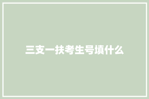 三支一扶考生号填什么