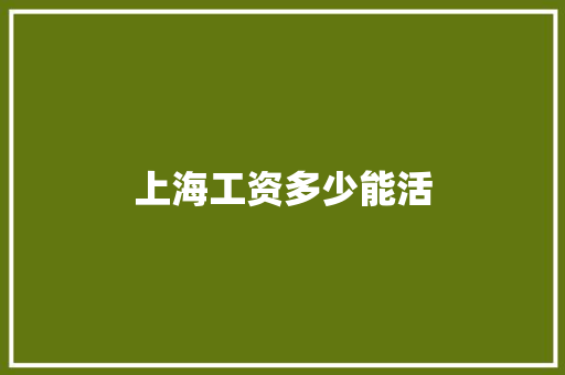 上海工资多少能活