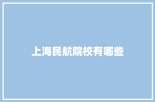 上海民航院校有哪些