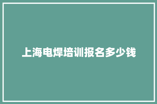 上海电焊培训报名多少钱 工作总结