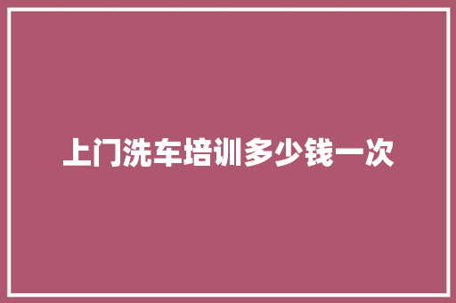 上门洗车培训多少钱一次