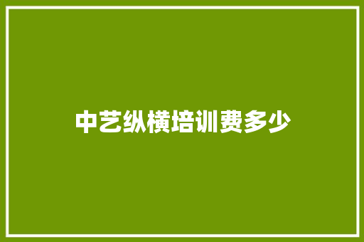 中艺纵横培训费多少
