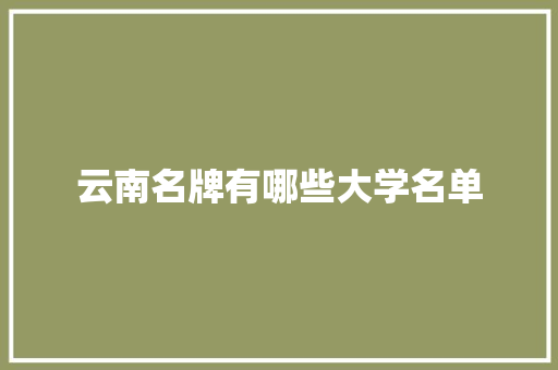 云南名牌有哪些大学名单