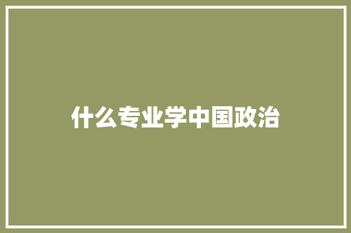 什么专业学中国政治