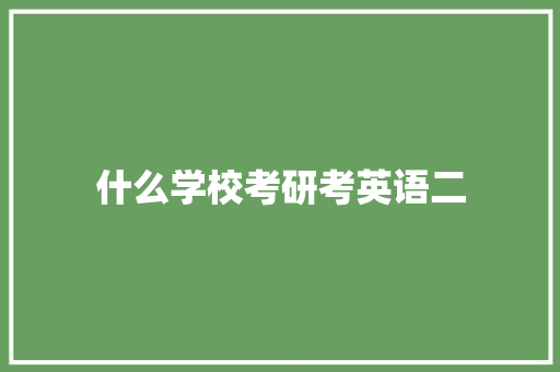什么学校考研考英语二