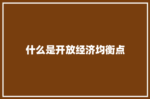 什么是开放经济均衡点