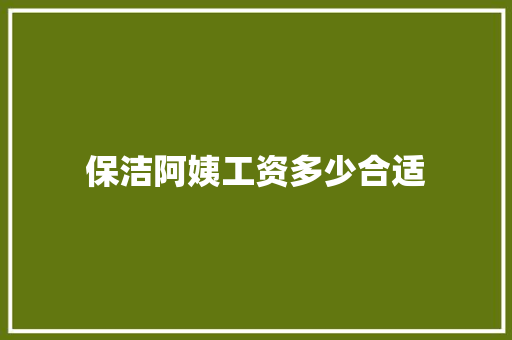保洁阿姨工资多少合适