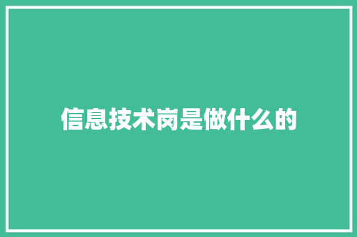 信息技术岗是做什么的
