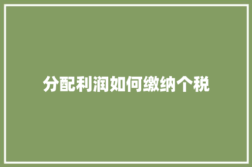 分配利润如何缴纳个税