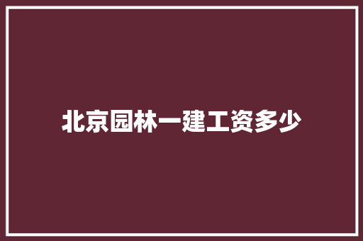 北京园林一建工资多少