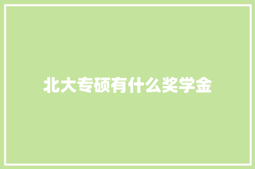 北大专硕有什么奖学金