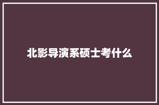 北影导演系硕士考什么