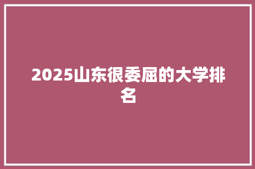 2025山东很委屈的大学排名
