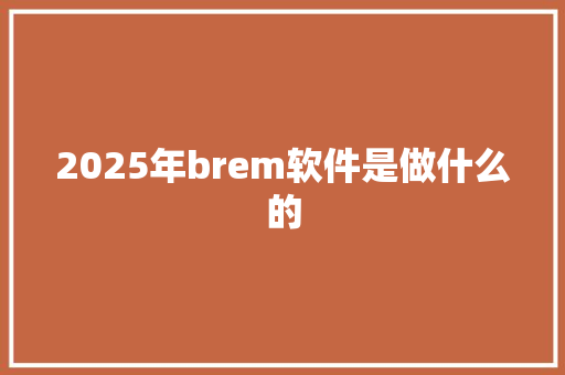 2025年brem软件是做什么的