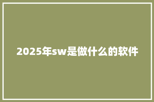 2025年sw是做什么的软件