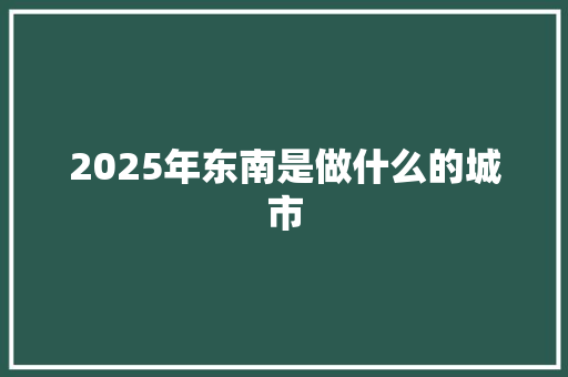 2025年东南是做什么的城市