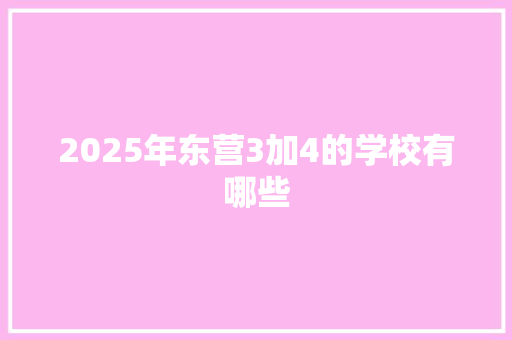 2025年东营3加4的学校有哪些