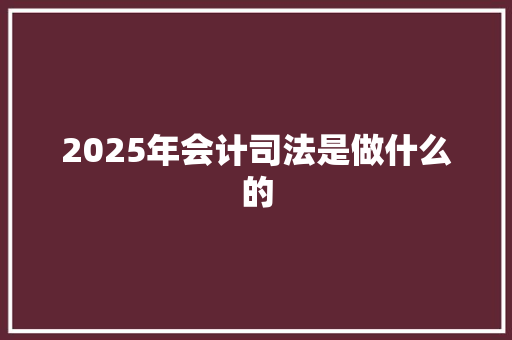 2025年会计司法是做什么的