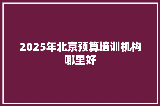 2025年北京预算培训机构哪里好