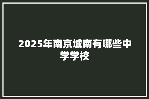 2025年南京城南有哪些中学学校