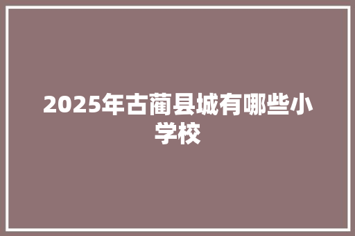 2025年古蔺县城有哪些小学校 项目报告