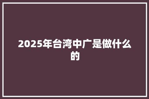 2025年台湾中广是做什么的