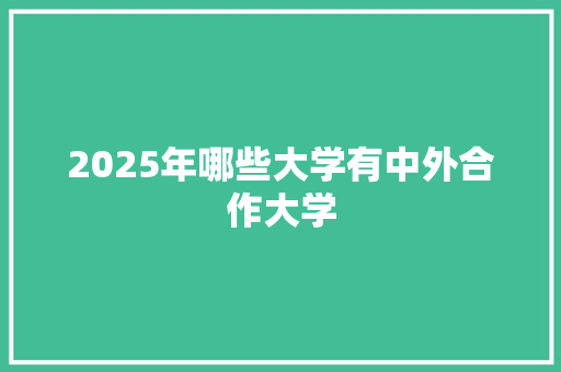 2025年哪些大学有中外合作大学
