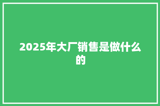 2025年大厂销售是做什么的