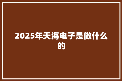 2025年天海电子是做什么的
