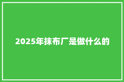 2025年抹布厂是做什么的