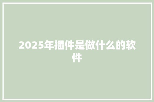 2025年插件是做什么的软件