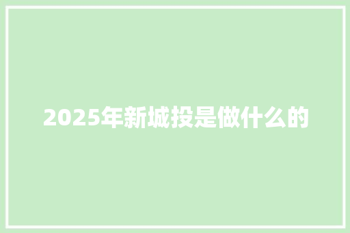 2025年新城投是做什么的
