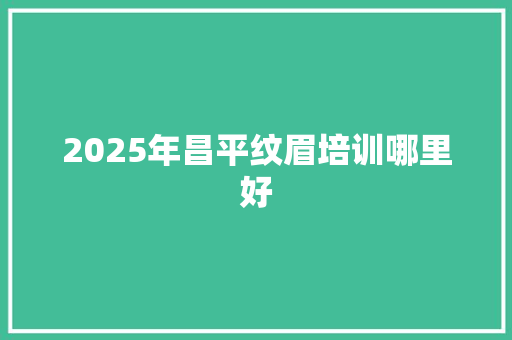 2025年昌平纹眉培训哪里好 工作总结