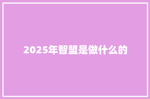 2025年智盟是做什么的