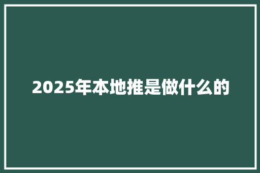 2025年本地推是做什么的