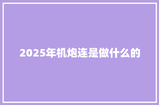 2025年机炮连是做什么的