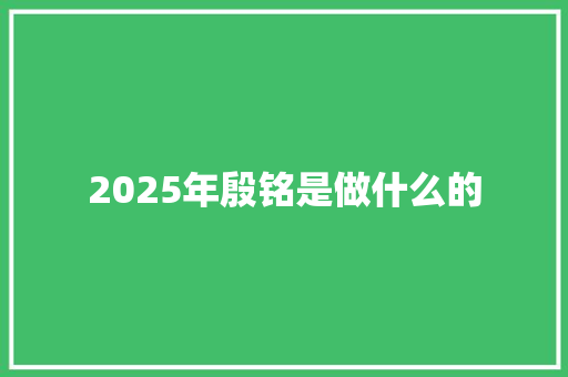 2025年殷铭是做什么的 会议纪要