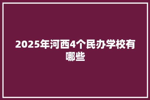2025年河西4个民办学校有哪些