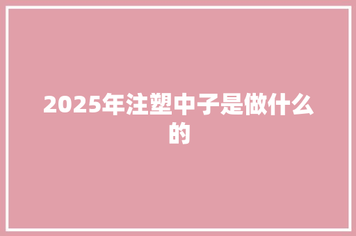 2025年注塑中子是做什么的