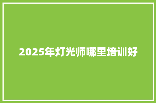 2025年灯光师哪里培训好 职场写作