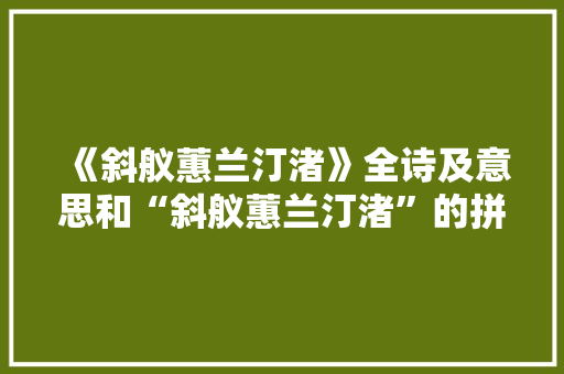 《斜舣蕙兰汀渚》全诗及意思和“斜舣蕙兰汀渚”的拼音注释