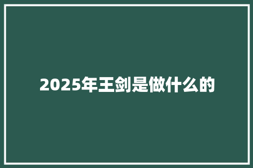 2025年王剑是做什么的