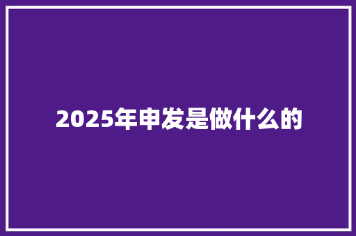 2025年申发是做什么的