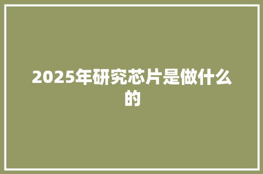 2025年研究芯片是做什么的