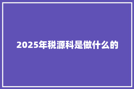 2025年税源科是做什么的