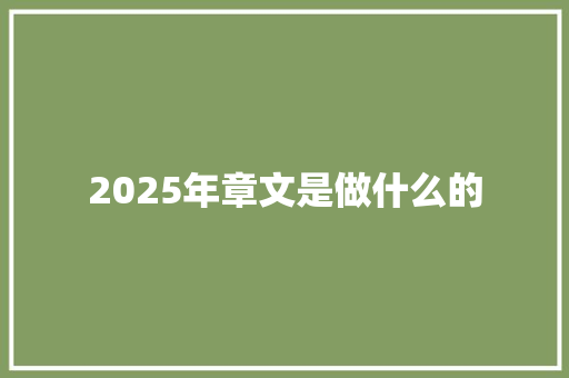 2025年章文是做什么的