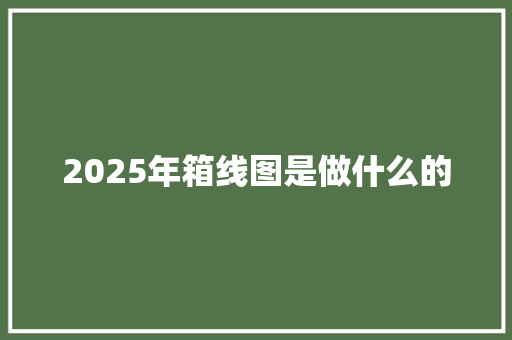 2025年箱线图是做什么的