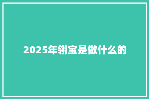 2025年翎宝是做什么的